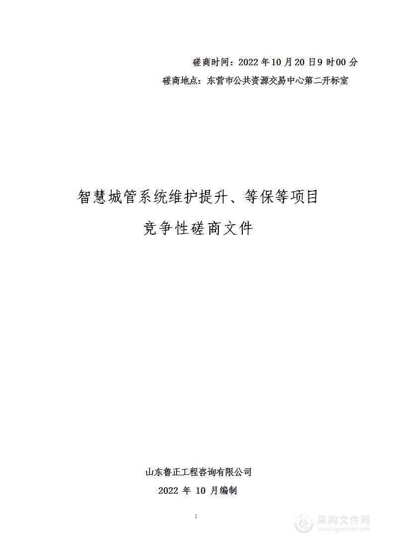 智慧城管系统维护提升、等保等项目