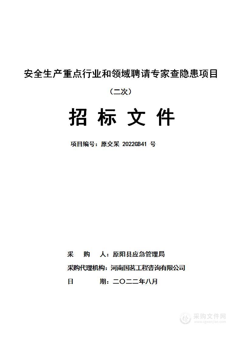 安全生产重点行业和领域聘请专家查隐患项目