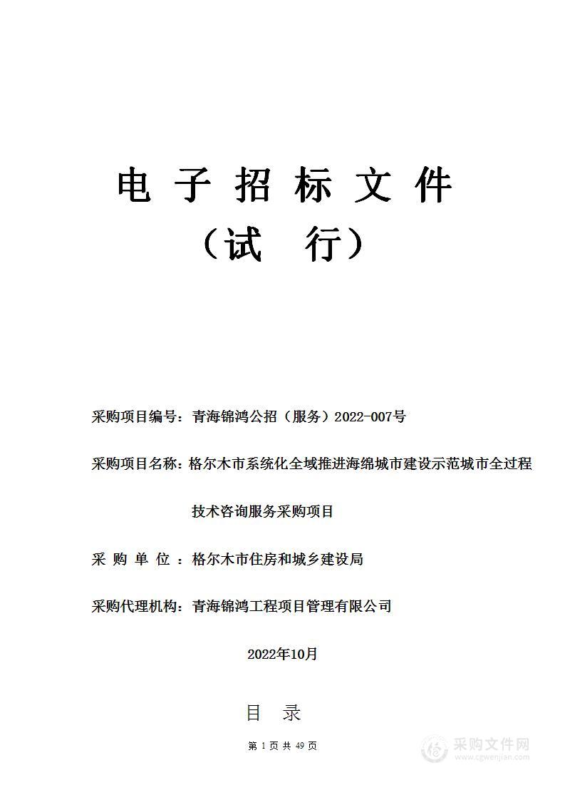 格尔木市系统化全域推进海绵城市建设示范城市全过程技术咨询服务采购项目