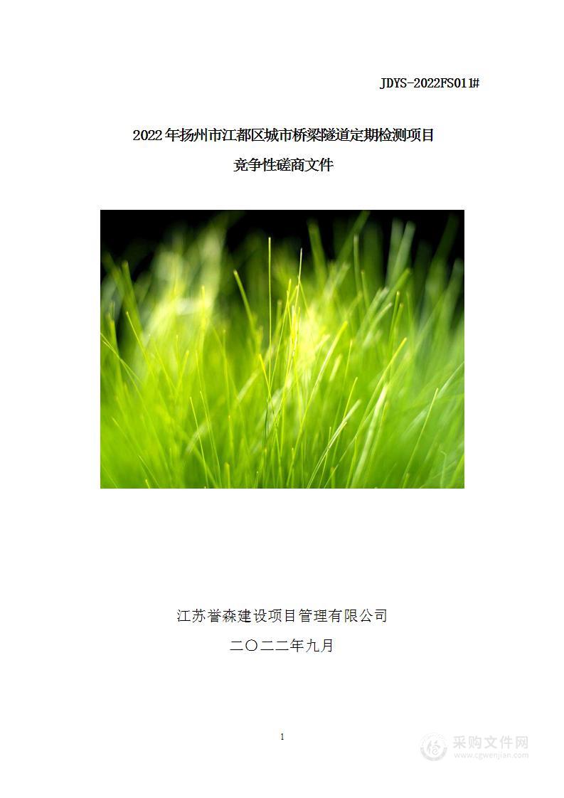 2022年扬州市江都区城市桥梁隧道定期检测项目