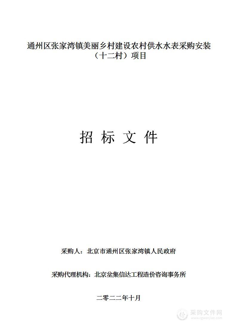 通州区张家湾镇美丽乡村建设农村供水水表采购安装（十二村）项目