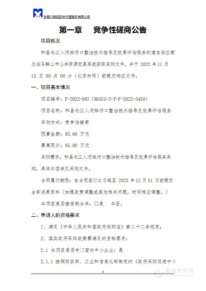 和县长江入河排污口整治技术指导及效果评估服务