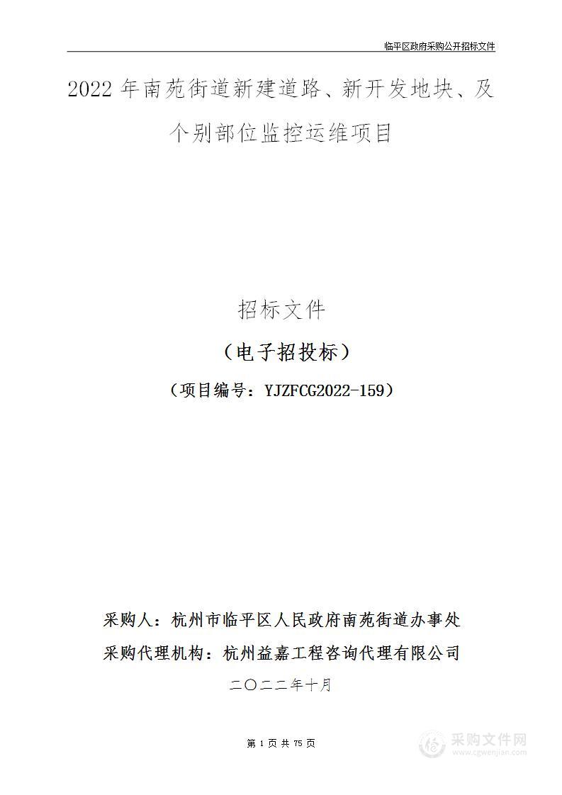 2022年南苑街道新建道路、新开发地块、及个别部位监控运维项目