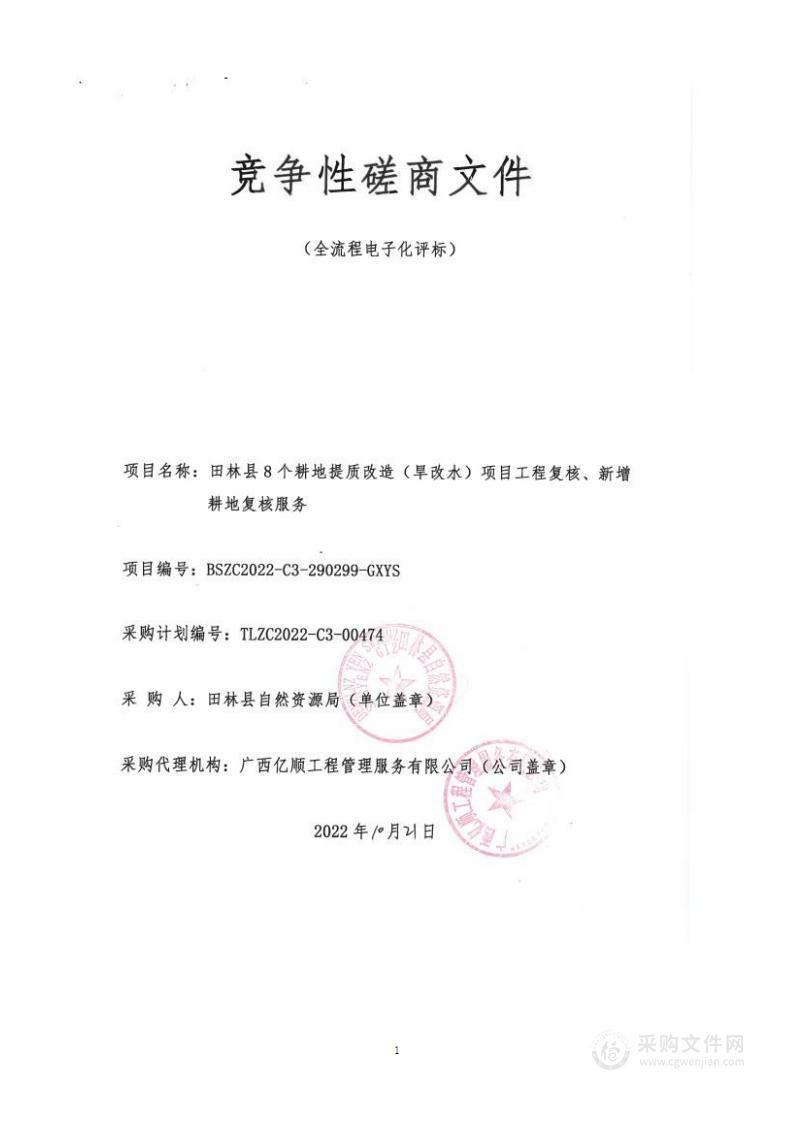 田林县8个耕地提质改造（旱改水）项目工程复核、新增耕地复核服务