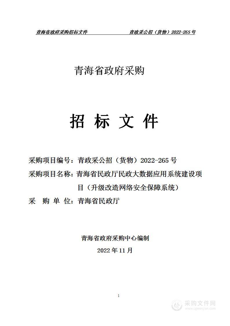 青海省民政厅民政大数据应用系统建设项目（升级改造网络安全保障系统）