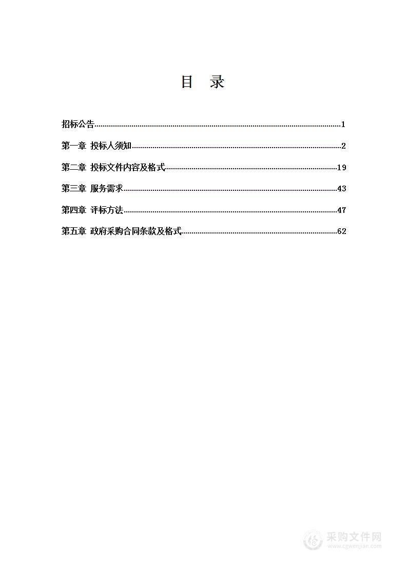 示范区综合管网数字化平台（一期）项目