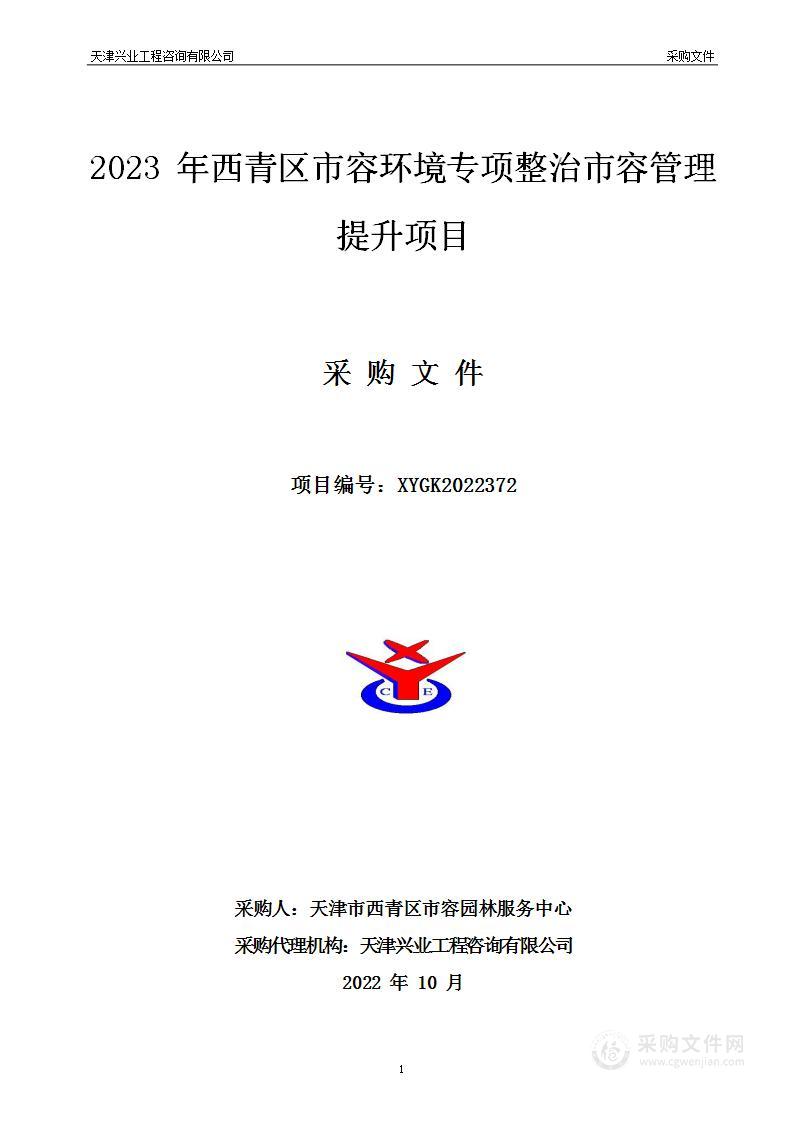 2023年西青区市容环境专项整治市容管理提升项目