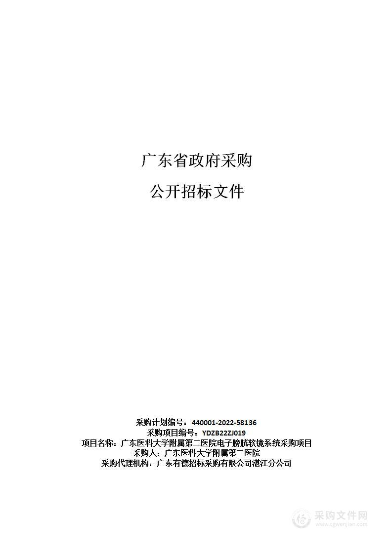 广东医科大学附属第二医院电子膀胱软镜系统采购项目