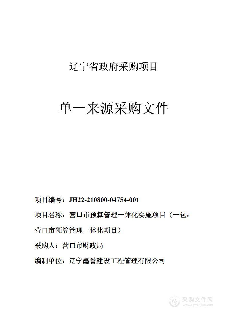 营口市预算管理一体化实施项目