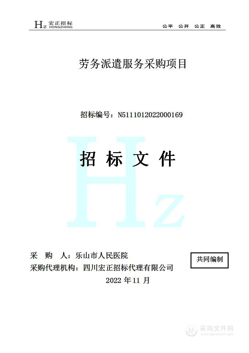 乐山市人民医院劳务派遣服务采购项目