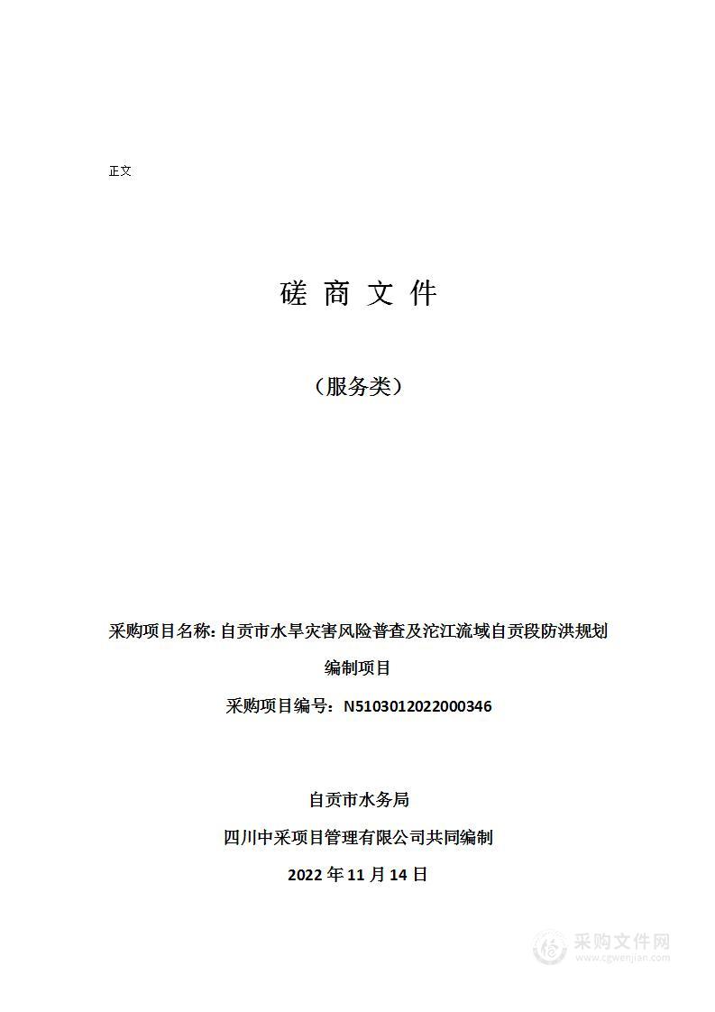 自贡市水旱灾害风险普查及沱江流域自贡段防洪规划编制项目