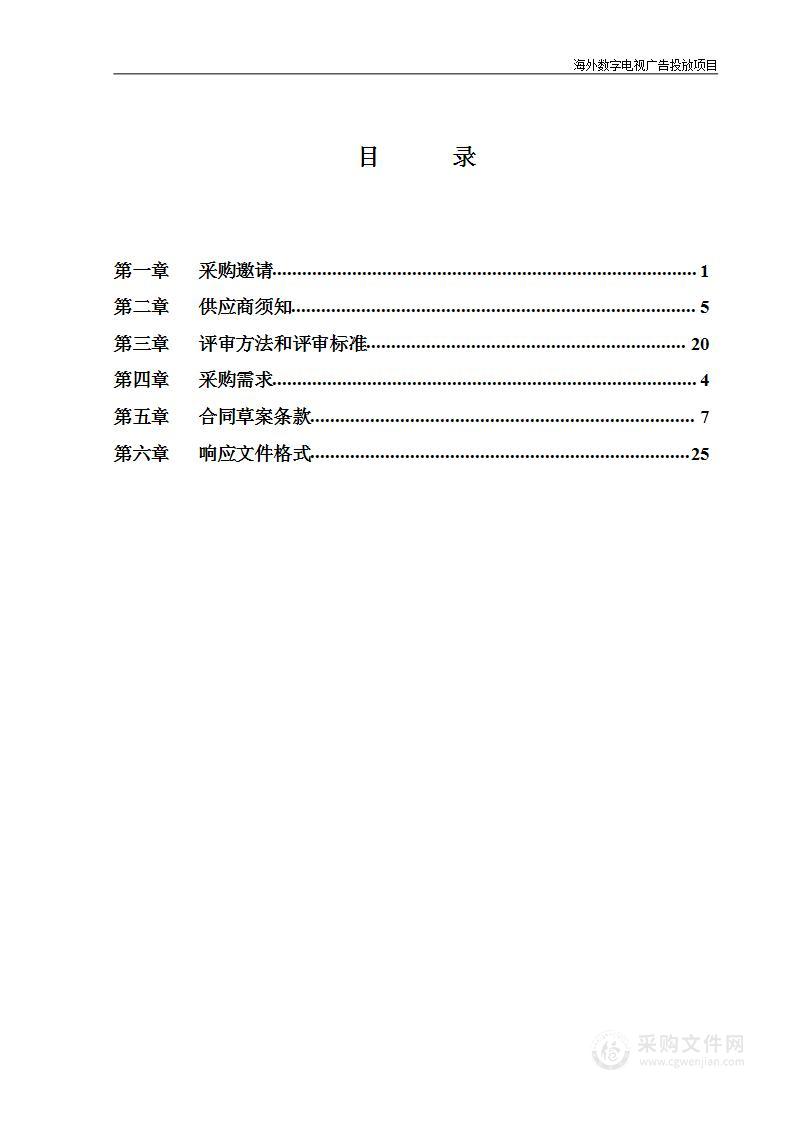 海外数字电视广告投放项目