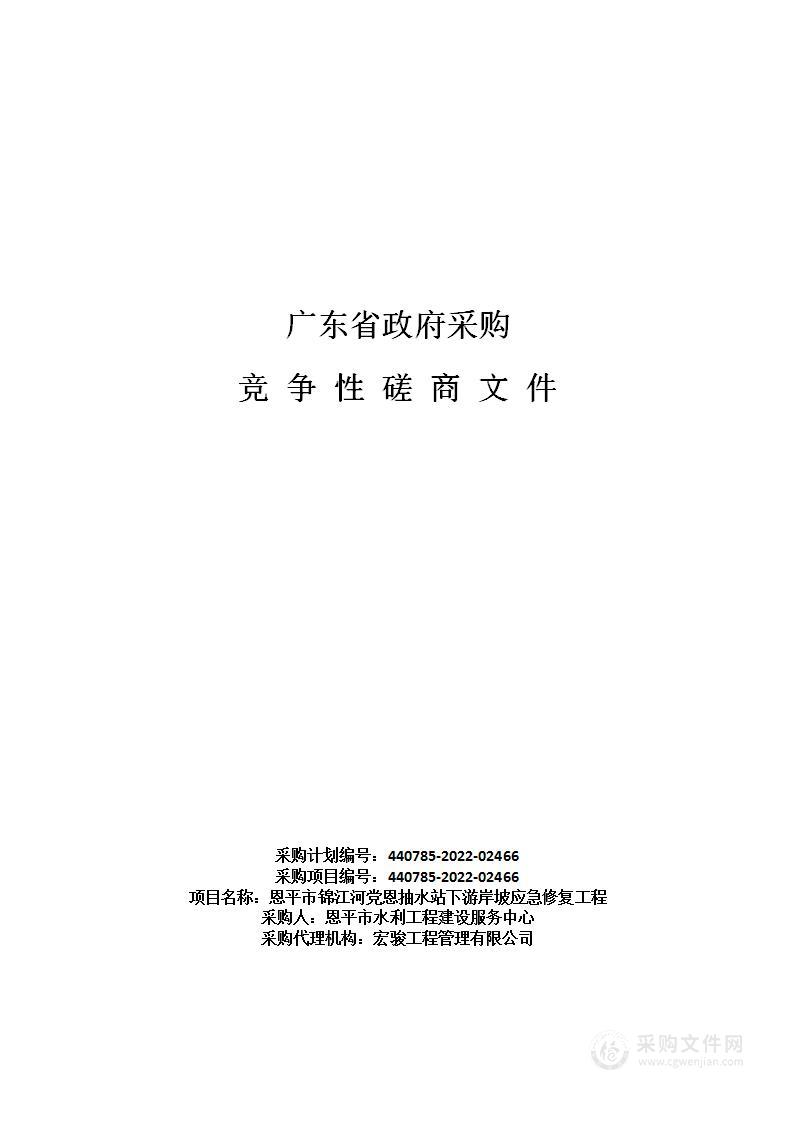 恩平市锦江河党恩抽水站下游岸坡应急修复工程