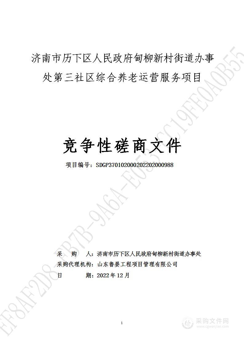 济南市历下区人民政府甸柳新村街道办事处第三社区综合养老运营服务项目