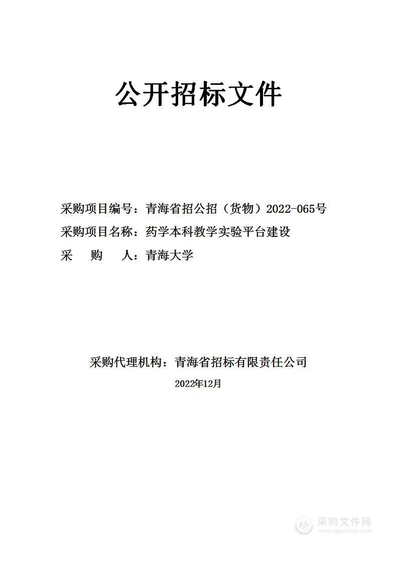 药学本科教学实验平台建设