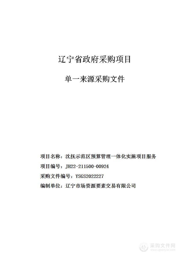 沈抚示范区预算管理一体化实施项目服务