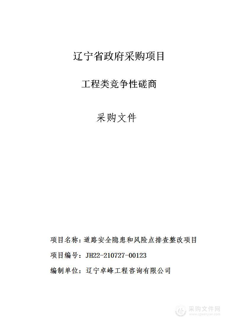 道路安全隐患和风险点排查整改项目