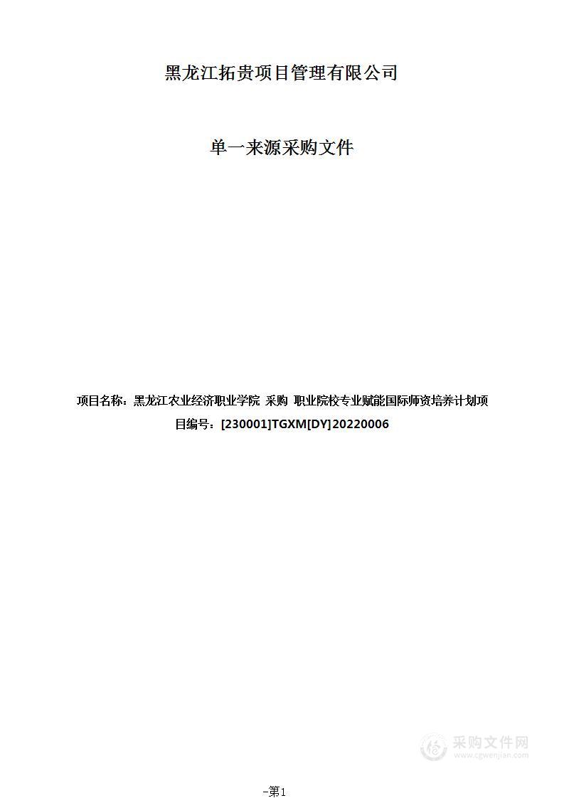 职业院校专业赋能国际师资培养计划