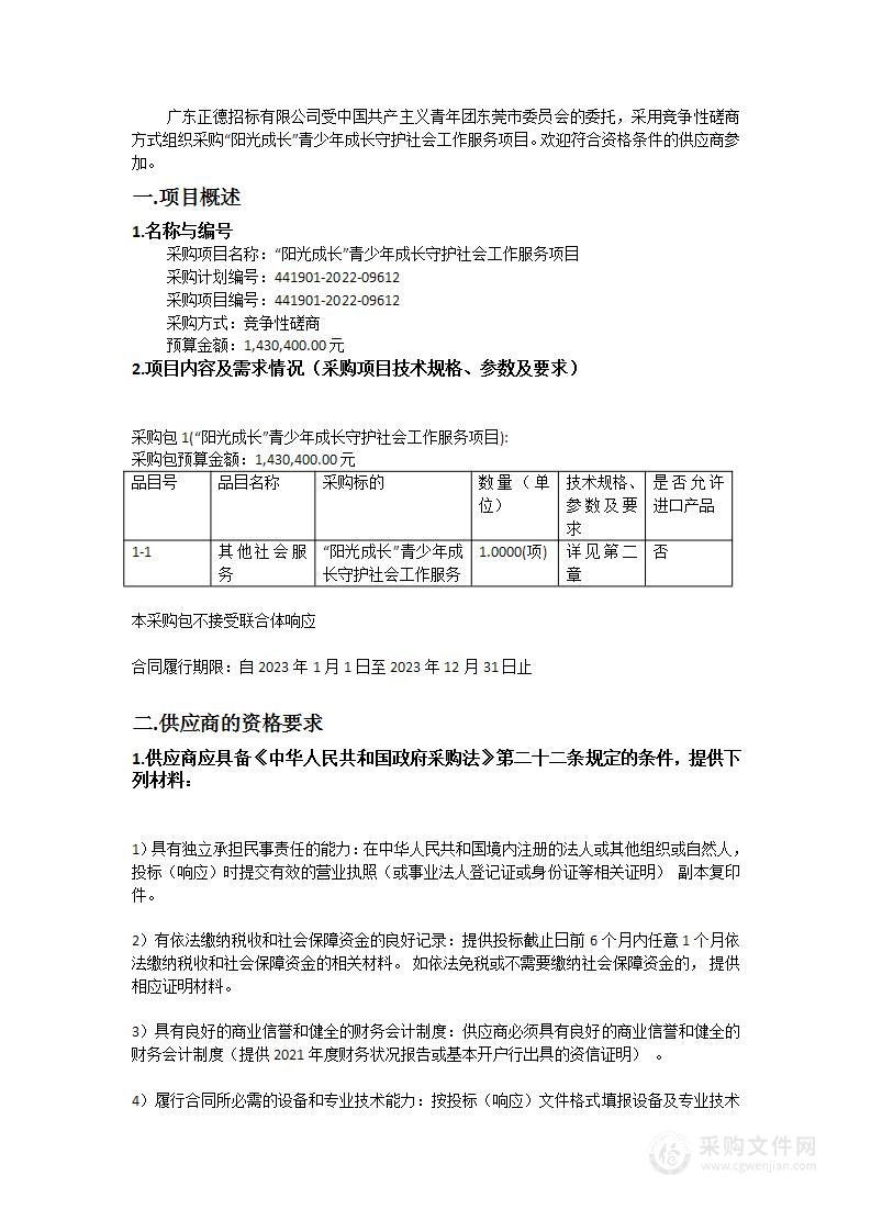 “阳光成长”青少年成长守护社会工作服务项目