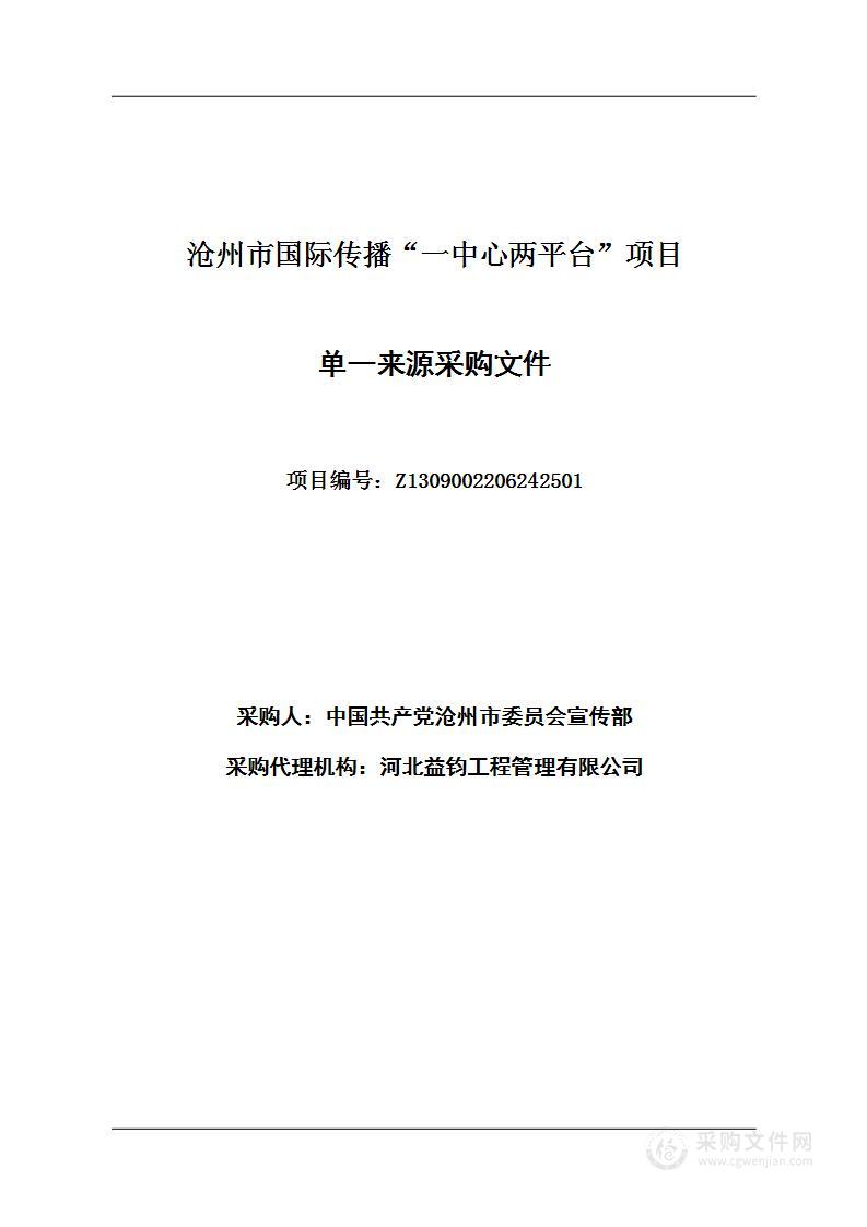 沧州市国际传播“一中心两平台”项目