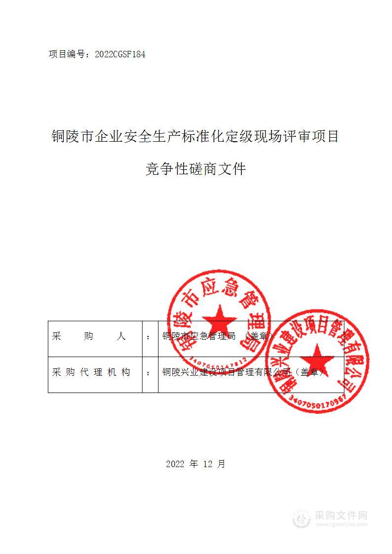 铜陵市企业安全生产标准化定级现场评审项目