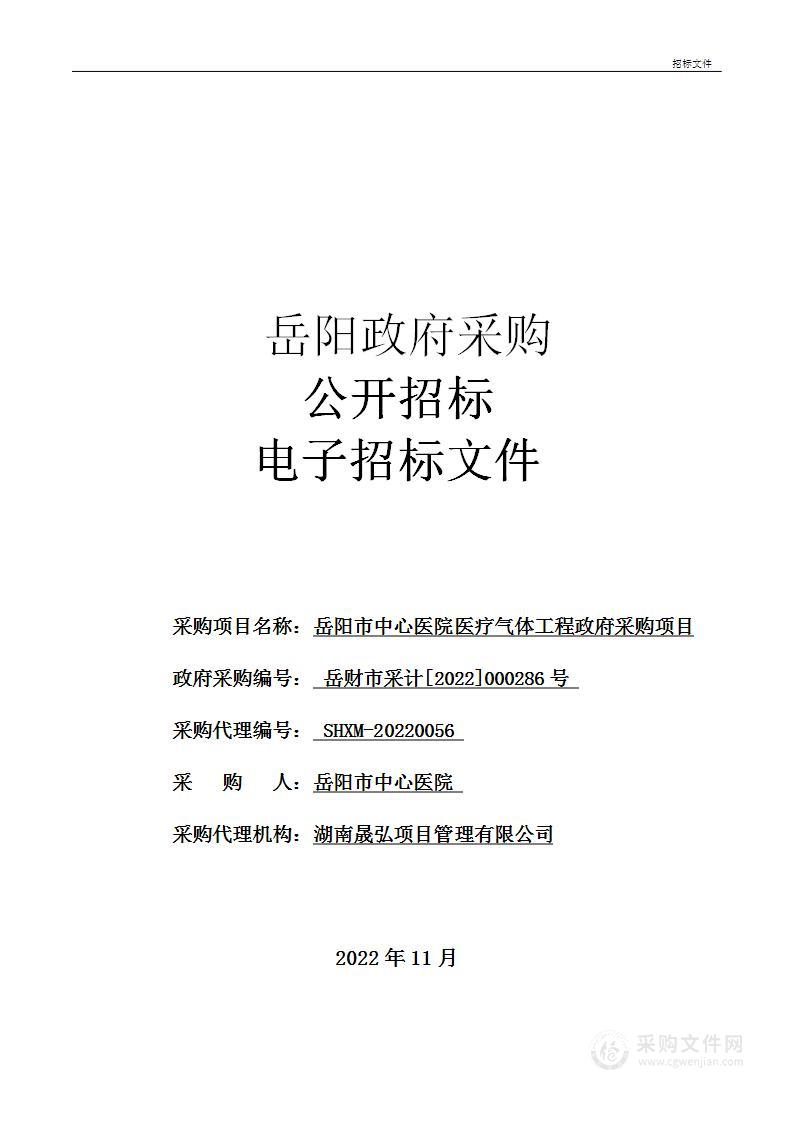 岳阳市中心医院医疗气体工程政府采购项目