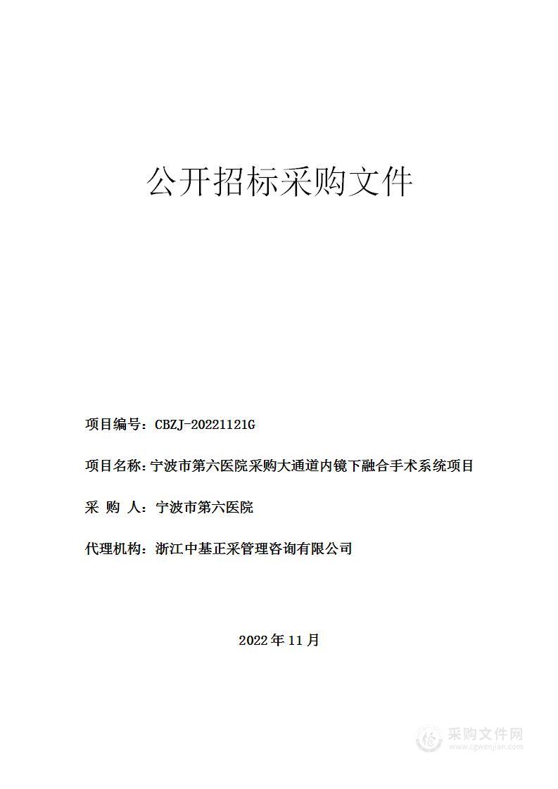 宁波市第六医院采购大通道内镜下融合手术系统项目