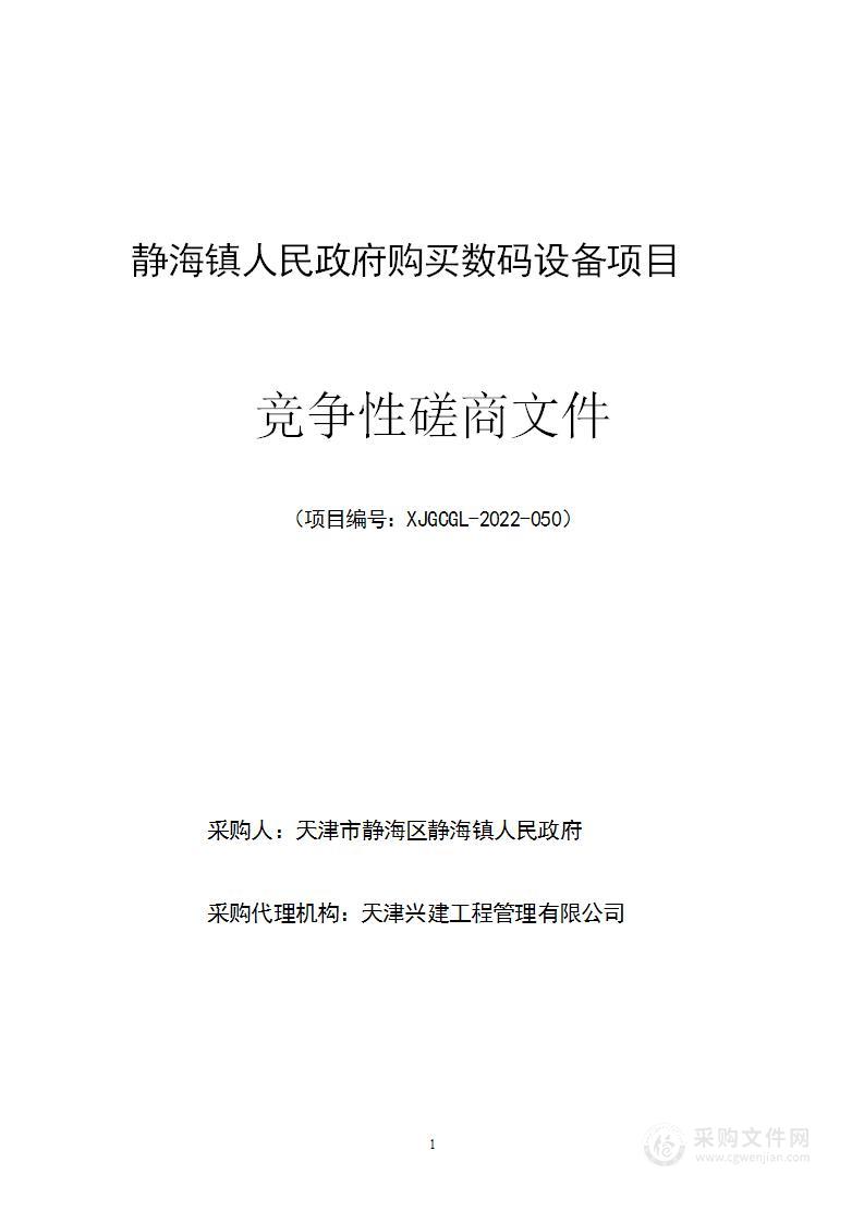 静海镇相关村街环境卫生清整服务项目