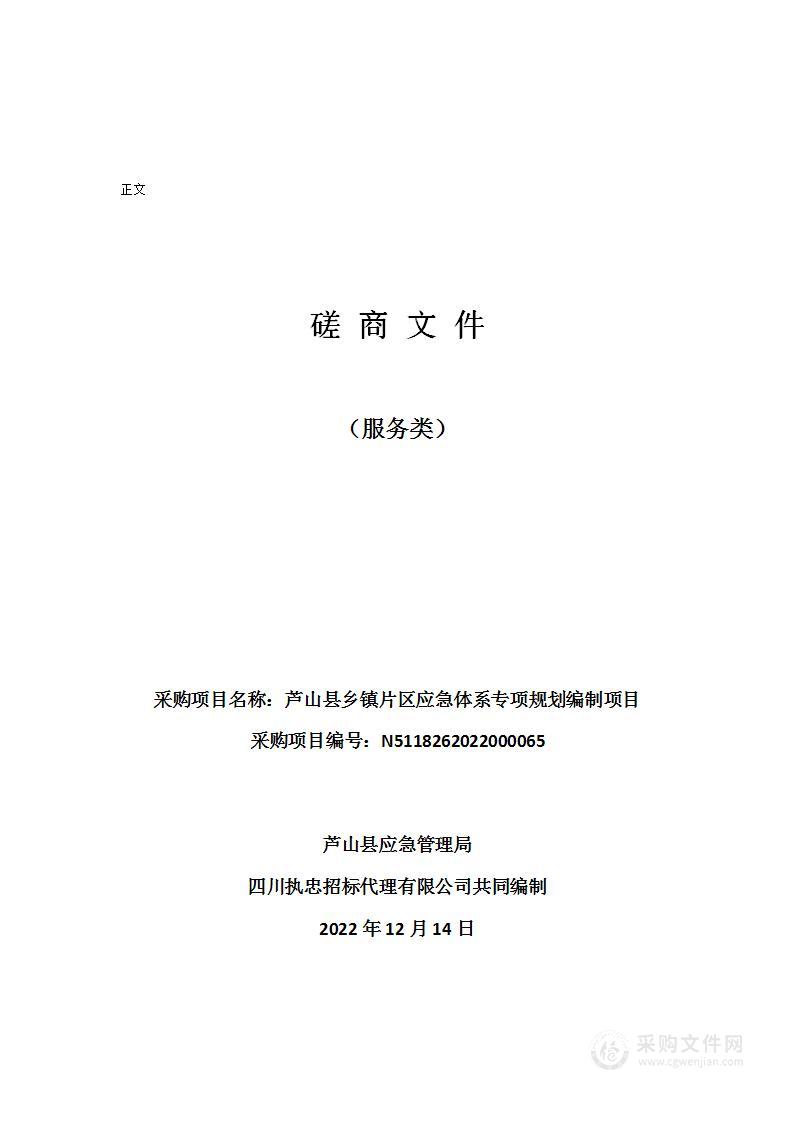 芦山县乡镇片区应急体系专项规划编制项目