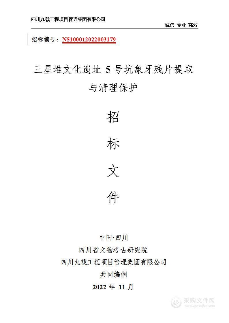 四川省文物考古研究院三星堆文化遗址5号坑象牙残片提取与清理保护