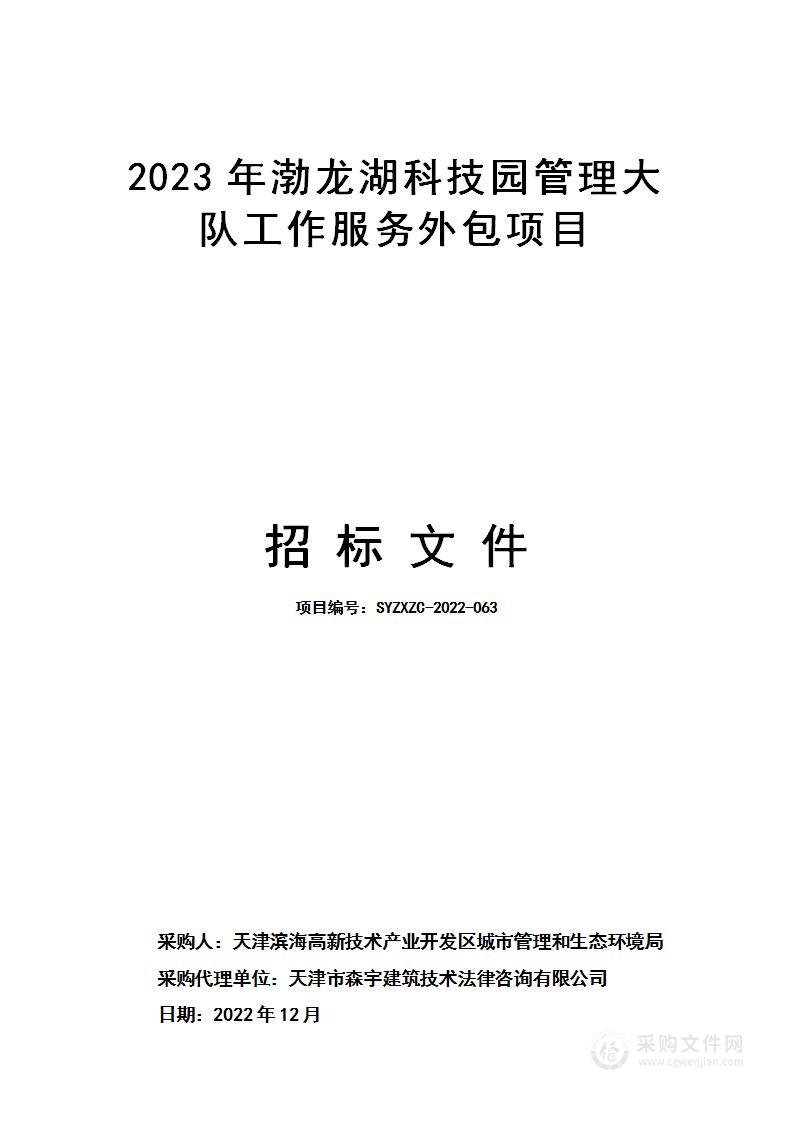 2023年渤龙湖科技园管理大队工作服务外包项目