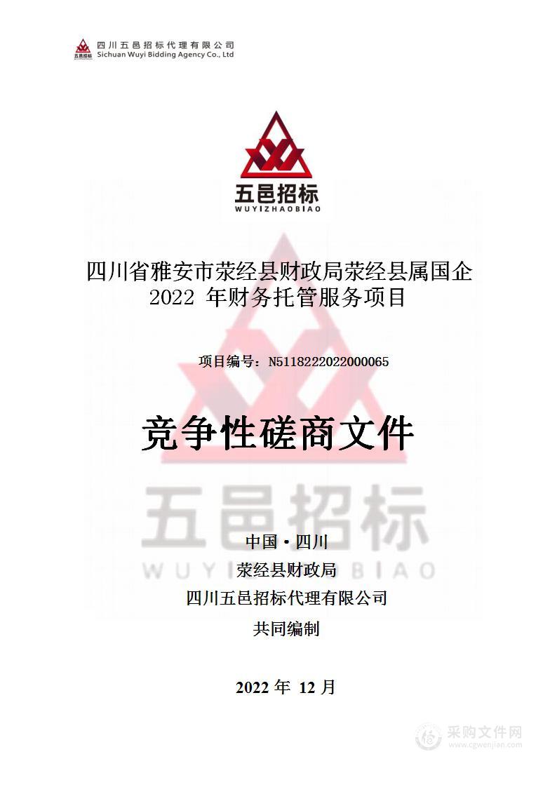 荥经县属国企2022年财务托管服务项目