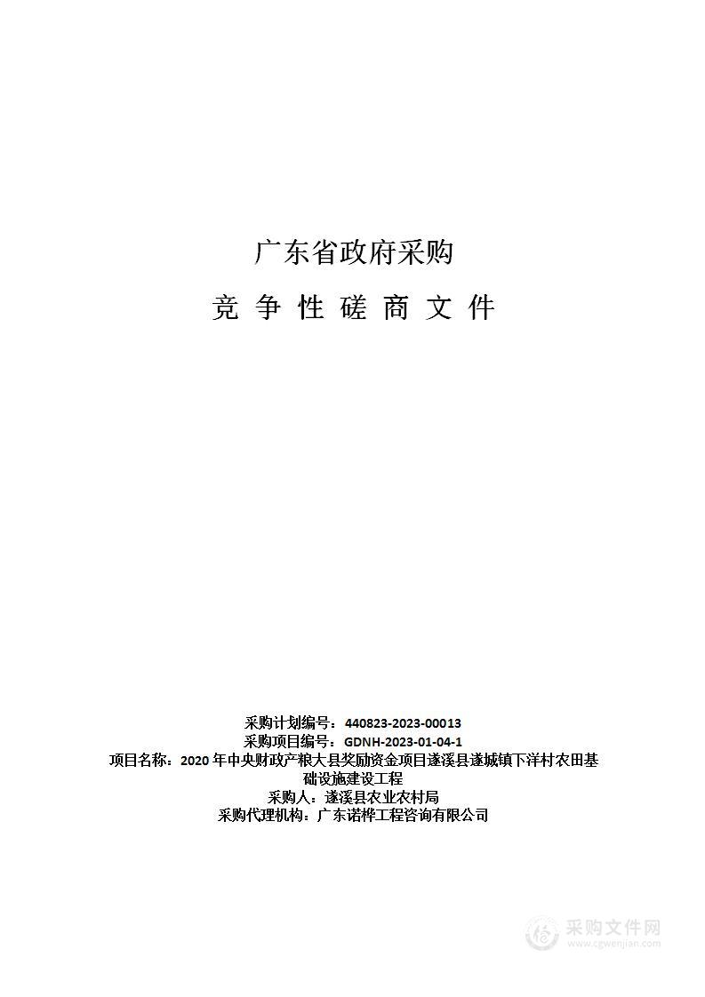 2020年中央财政产粮大县奖励资金项目遂溪县遂城镇下洋村农田基础设施建设工程