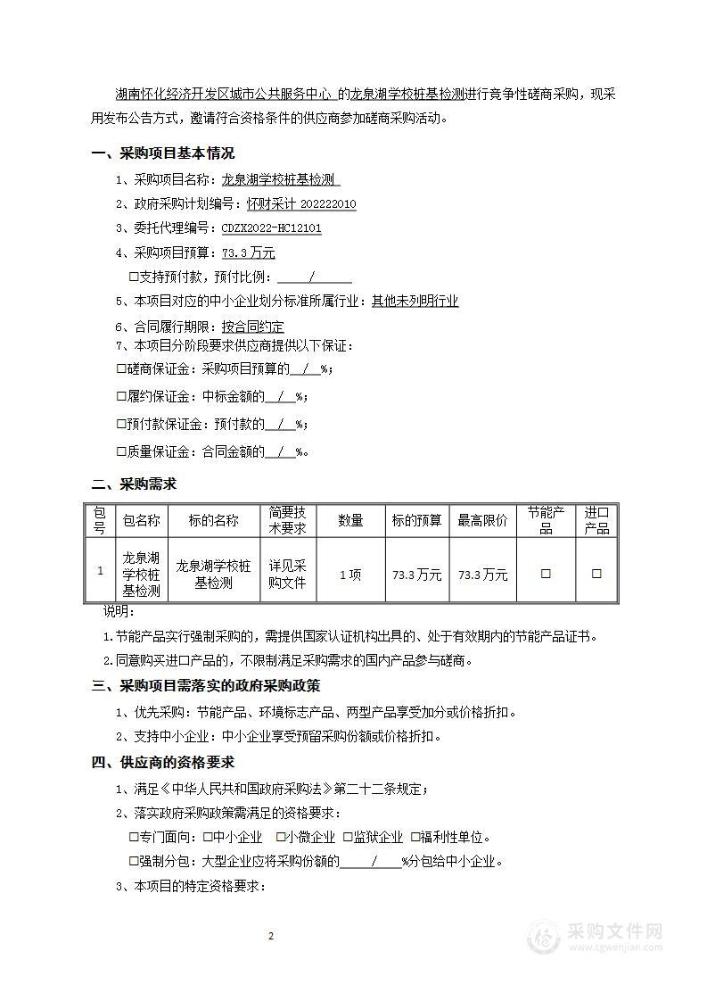 龙泉湖学校桩基检测