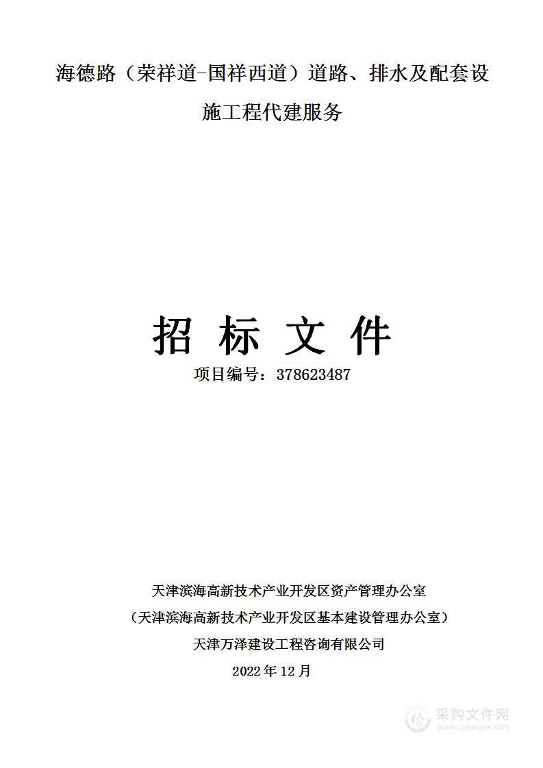 海德路（荣祥道-国祥西道）道路、排水及配套设施工程代建服务