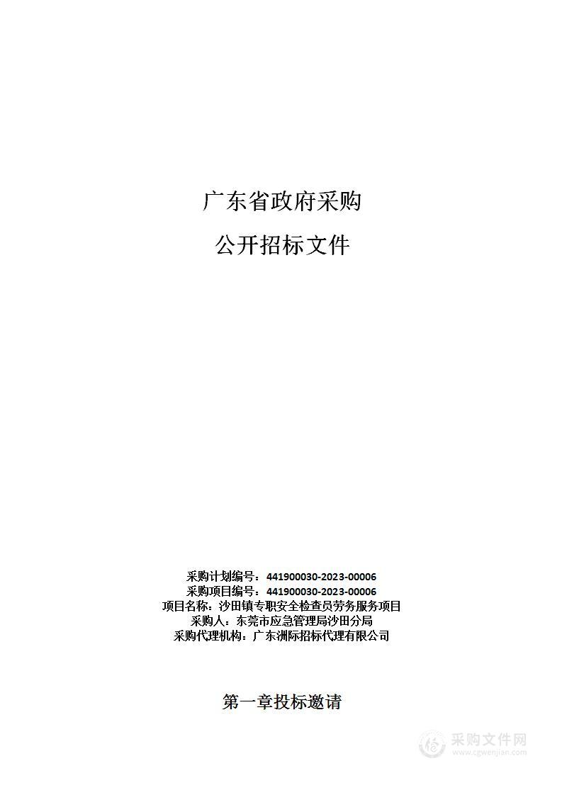 沙田镇专职安全检查员劳务服务项目