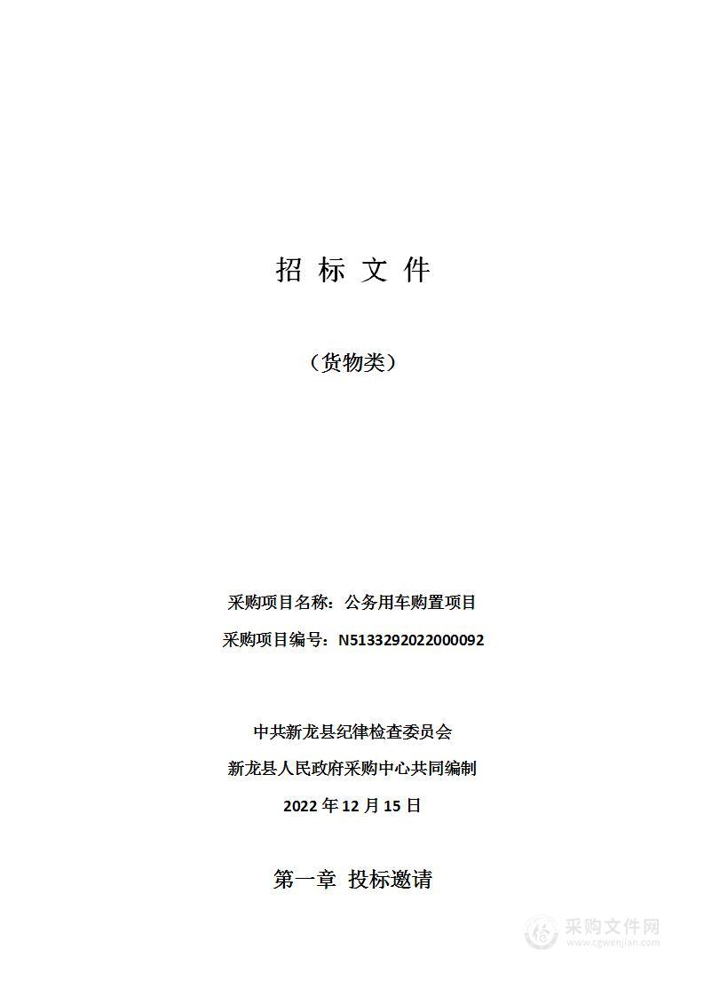 中共新龙县纪律检查委员会公务用车购置项目