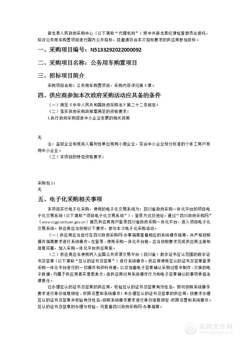 中共新龙县纪律检查委员会公务用车购置项目