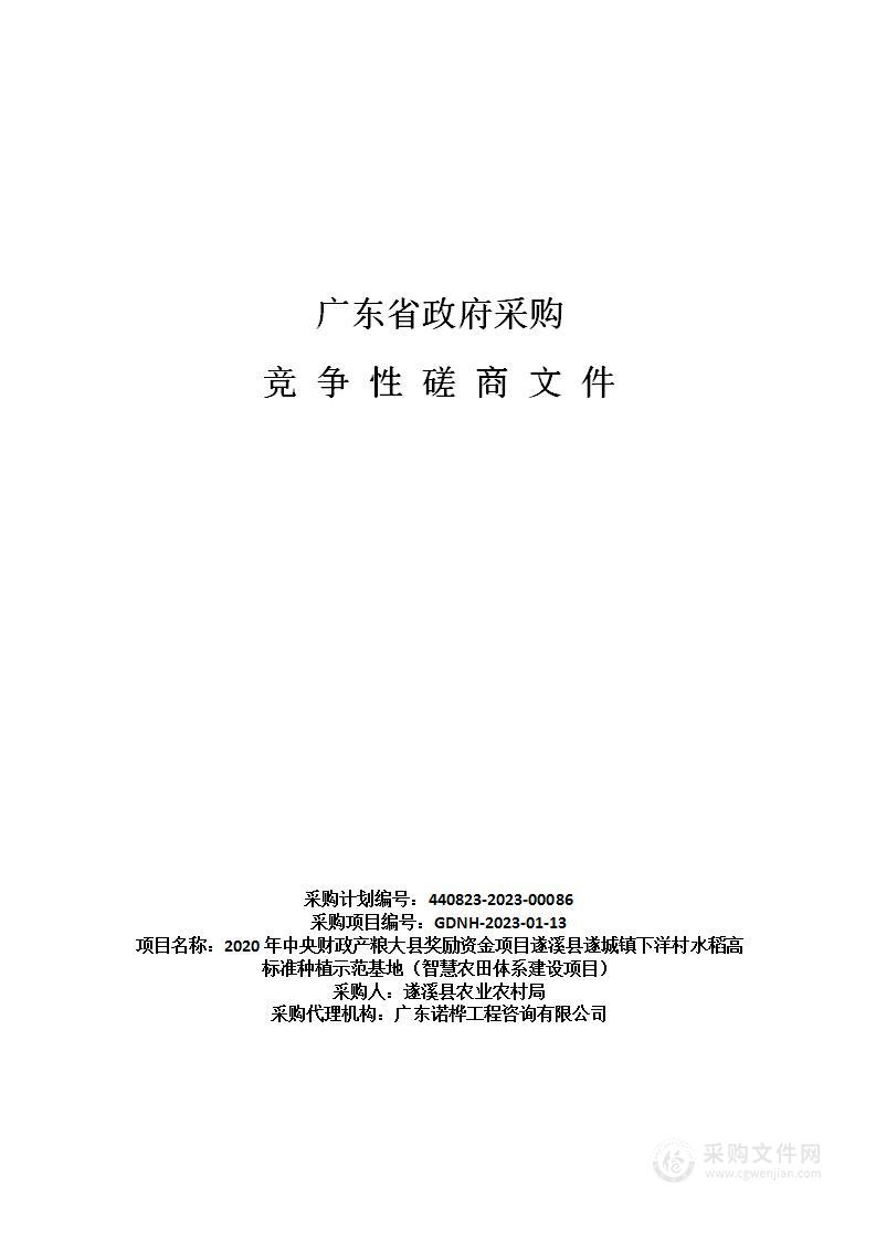 2020年中央财政产粮大县奖励资金项目遂溪县遂城镇下洋村水稻高标准种植示范基地（智慧农田体系建设项目）