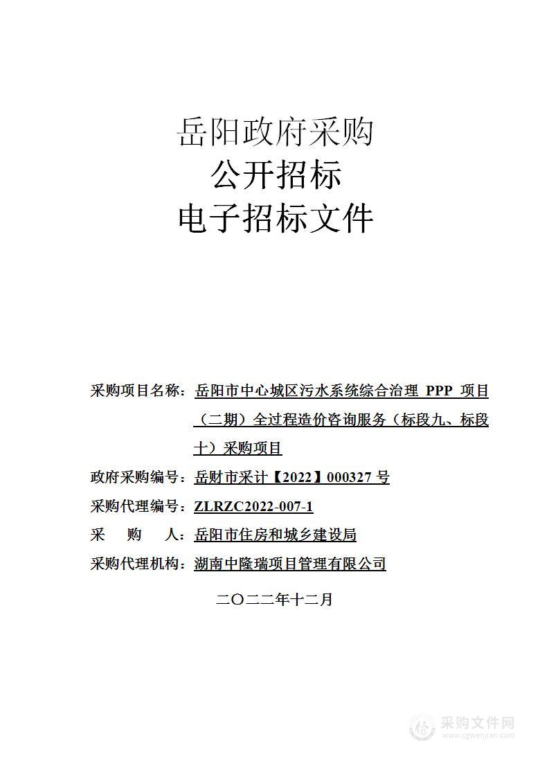 岳阳市中心城区污水系统综合治理 PPP 项目（二期）全过程造价咨询服务（标段九、标段十）采购项目