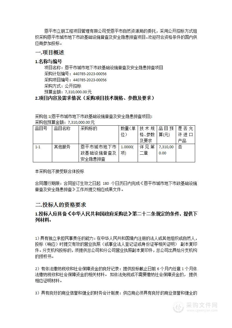 恩平市城市地下市政基础设施普查及安全隐患排查项目