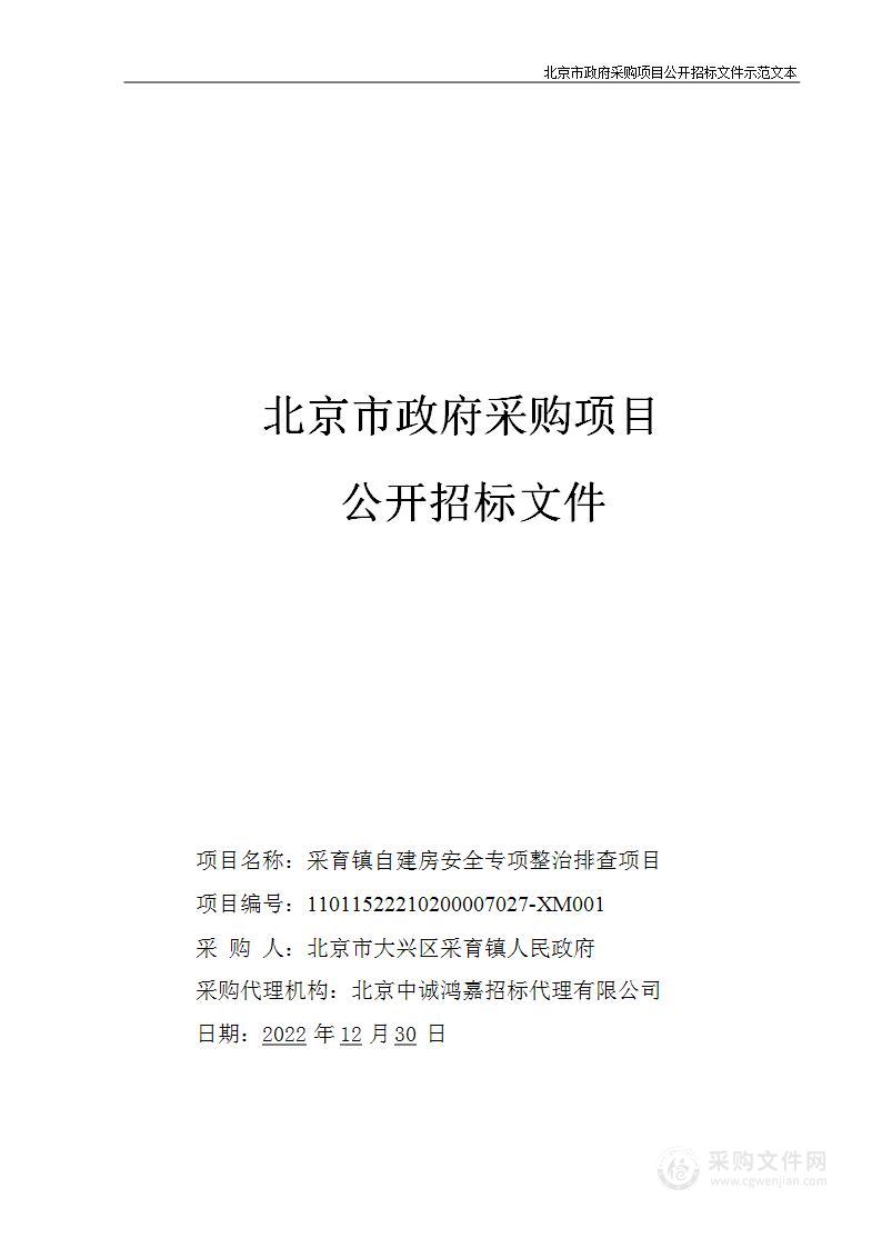 采育镇自建房安全专项整治排查项目