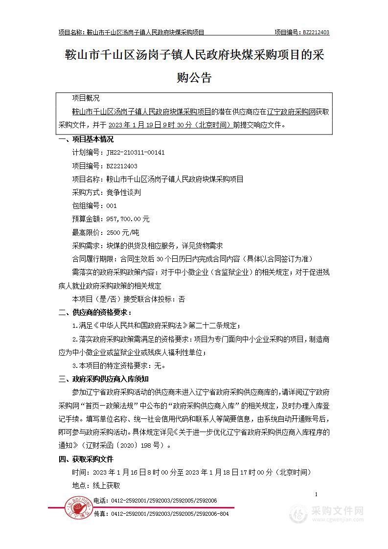 鞍山市千山区汤岗子镇人民政府块煤采购项目