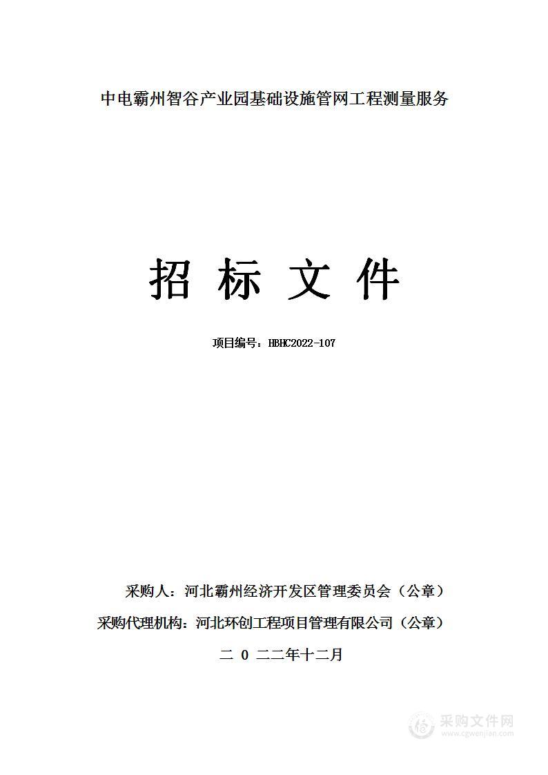 中电霸州智谷产业园基础设施管网工程测量服务