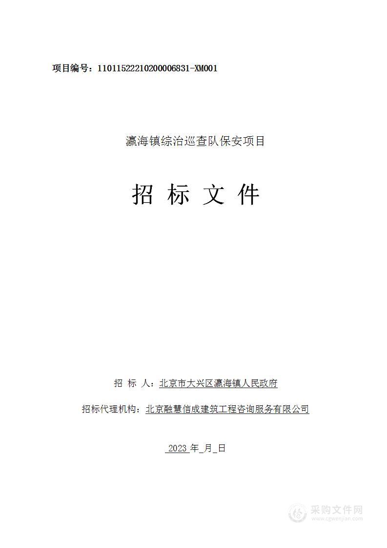 瀛海镇综治巡查队保安项目