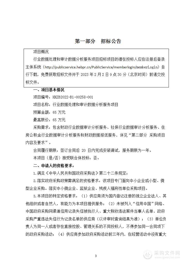 行业数据处理和审计数据分析服务项目