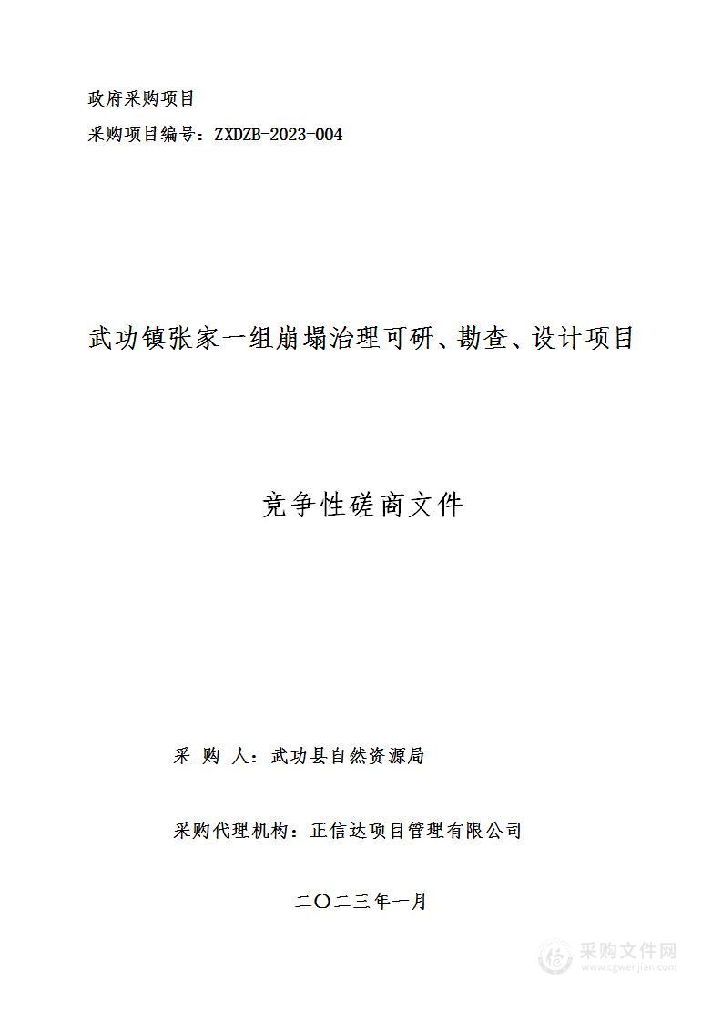 武功镇张家一组崩塌治理可研、勘查、设计项目