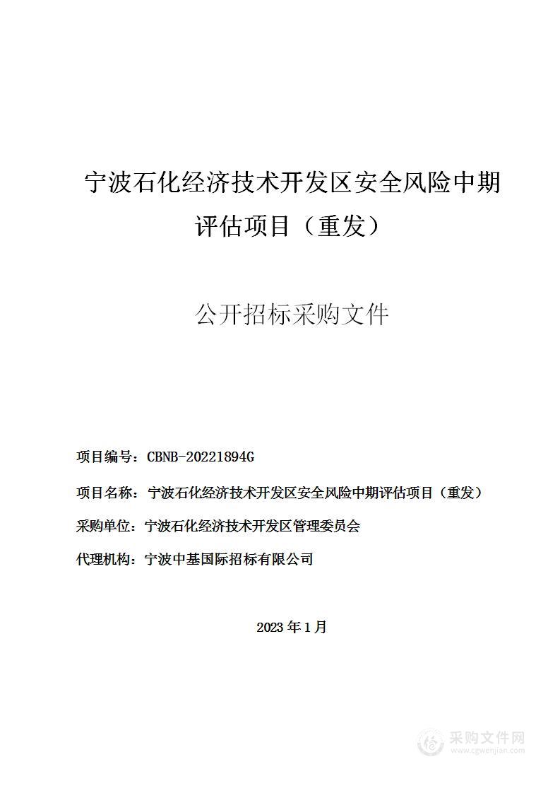 宁波石化经济技术开发区安全风险中期评估项目