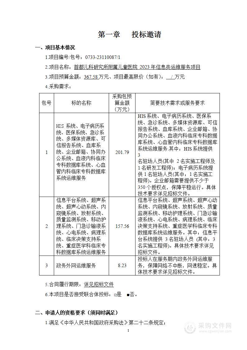 2023年信息类运维服务项目