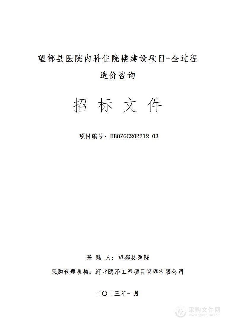 望都县医院内科住院楼建设项目—全过程造价咨询